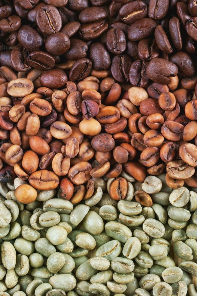 Kenya coffee bean grades comparison