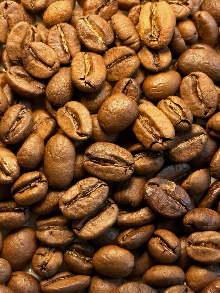 Light roast Kenya coffee beans golden brown